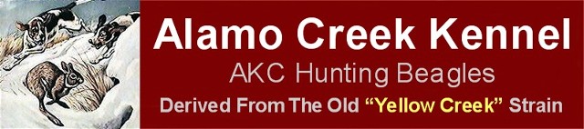 Alamo Creek Kennel Web Logo