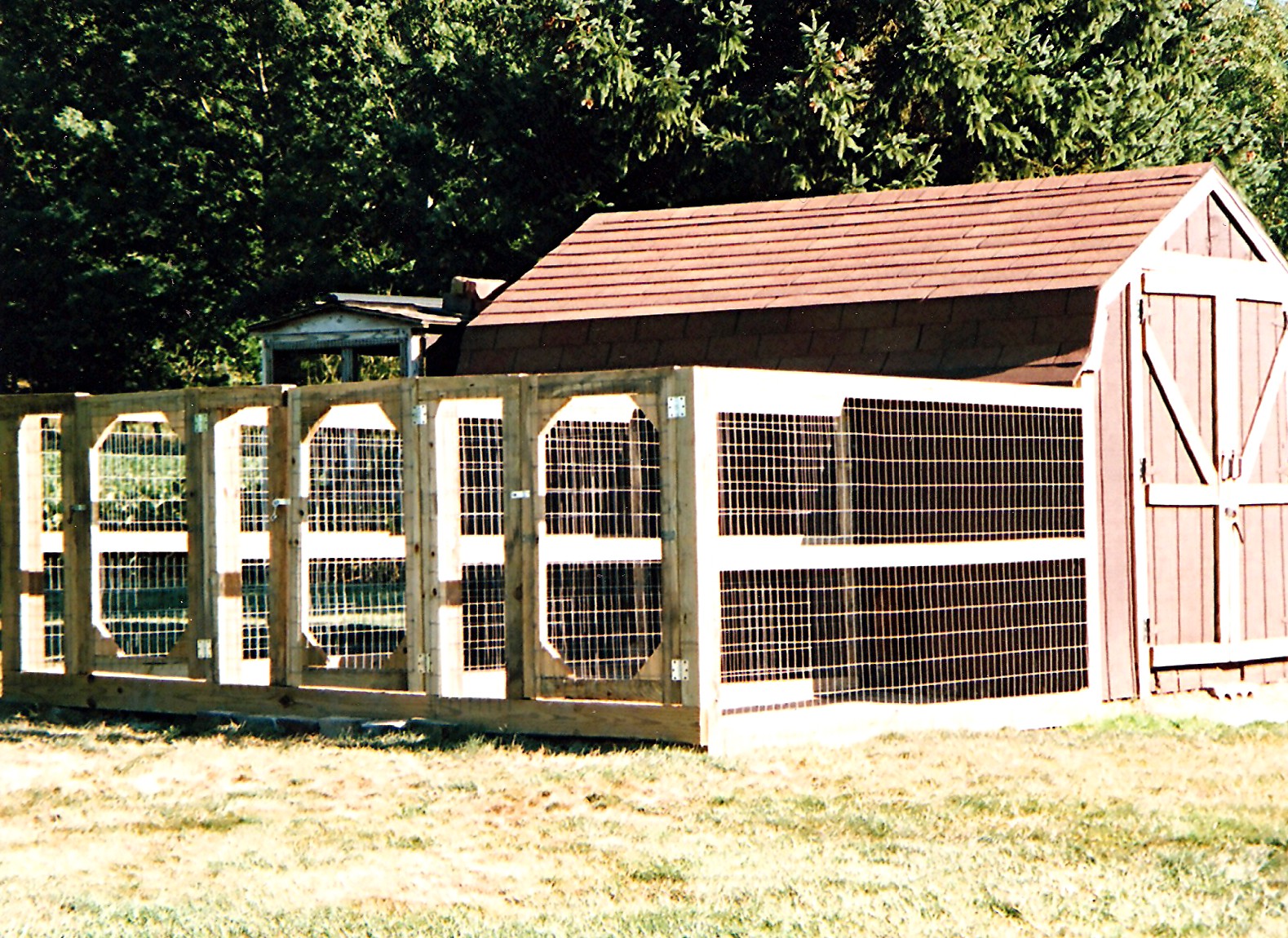 Alamo Kennel Addition 3