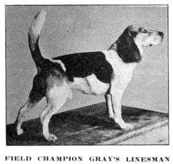 Gray's Linesman