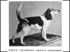 Gray's Linesman