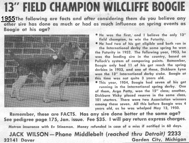 Willcliff Boogie