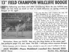 Willcliff Boogie