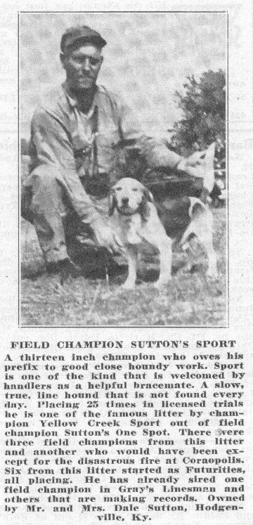 Sutten's Sport