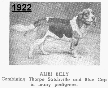Alibi Billy