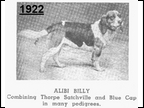Alibi Billy