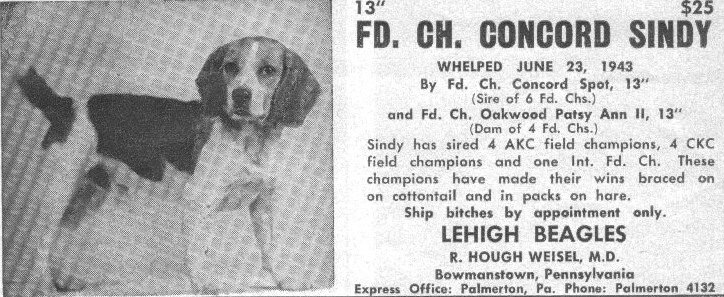 Concord Sindy