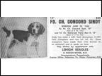 Concord Sindy