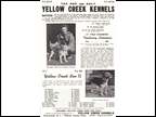 yellow creek ben