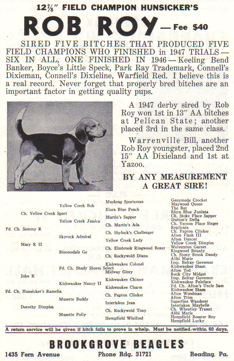 Rob Roy