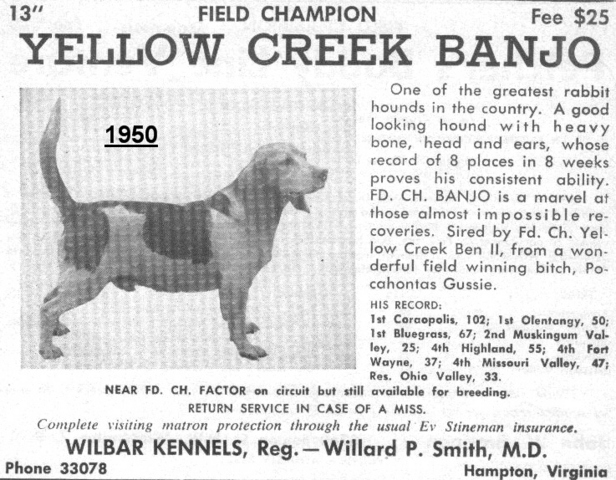 Yellow Creek Banjo