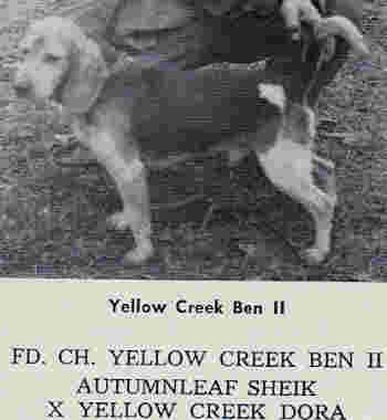 yellowcreek ben ii