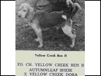 yellowcreek ben ii