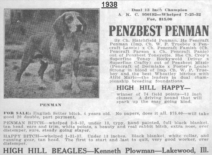 Penzbest Penman