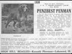 Penzbest Penman