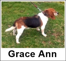 Grace Ann