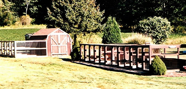 Alamo Creek Kennel